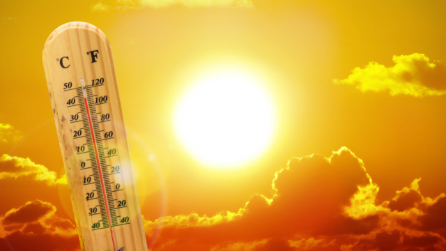Аномальная жара. Как перенести ее с меньшим риском для здоровья