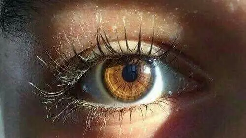 Офтальмолог рассказала, как распознать катаракту глаз